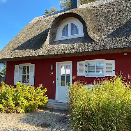 Ferienhaus Greta Glowe Eksteriør bilde